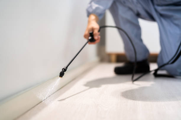 Licensed Pest Control service in Huntington, WV - Show Me Pest Control
