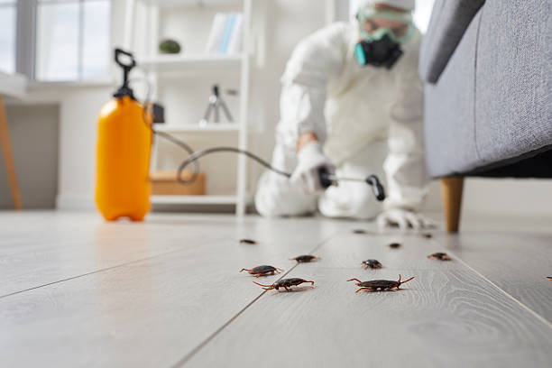 Commercial Kitchen Cockroach Control in Huntington
